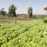 IPP sobe 2,37% em março após queda em fevereiro, afirma IBGE