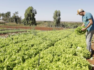 IPP sobe 2,37% em março após queda em fevereiro, afirma IBGE