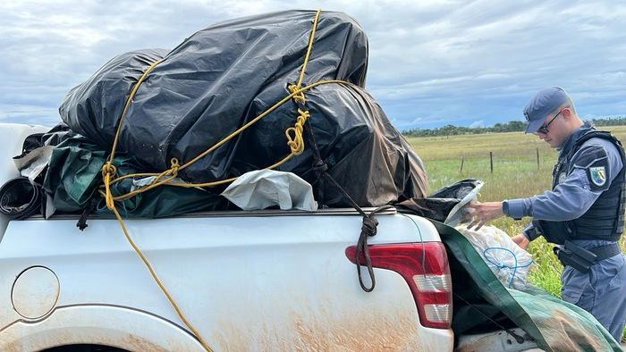 Presos por roubo de grude de peixe de R$ 1 mi no Amapá