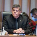 Protetores Mirins: formação infantil contra maus-tratos a animais