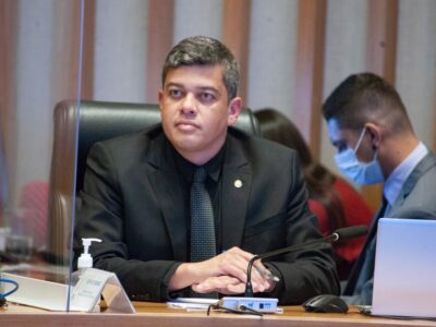 Protetores Mirins: formação infantil contra maus-tratos a animais