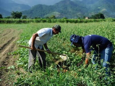 CAE aprova projeto que usa Pré-Sal para renegociar dívidas rurais