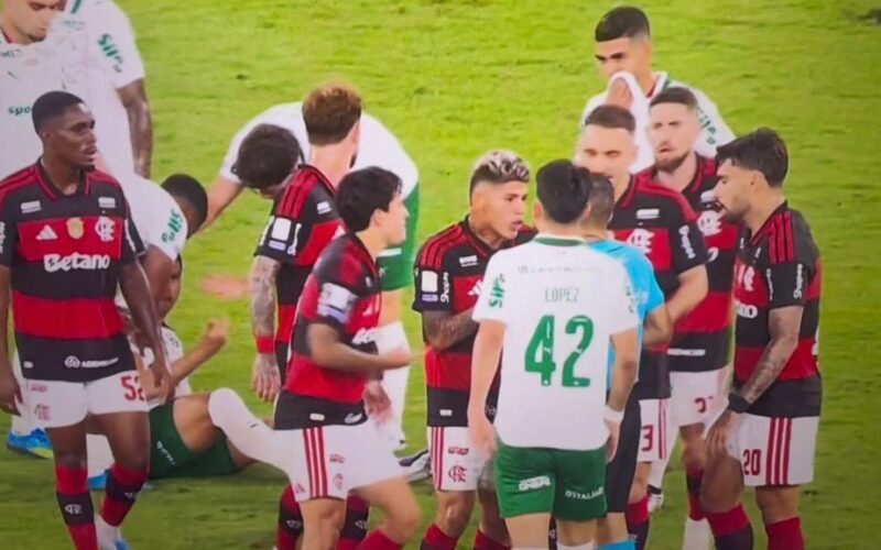 Palmeiras vence Flamengo por 3 a 0 e abre 7 pontos de vantagem no Brasileirão