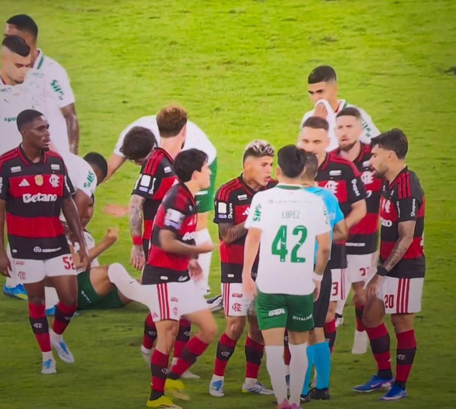 Palmeiras vence Flamengo por 3 a 0 e abre 7 pontos de vantagem no Brasileirão