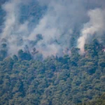 Helicópteros colidem no ar na Grécia durante combate a incêndio